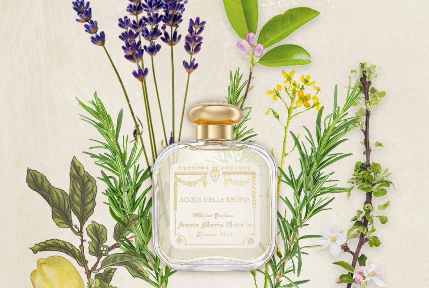 Santa Maria Novella