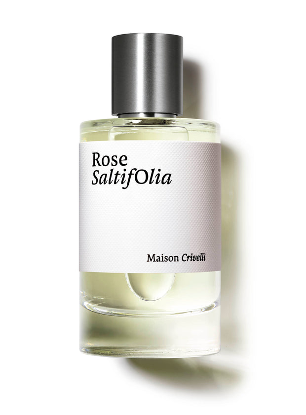 Rose Saltifolia