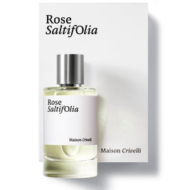 Rose Saltifolia