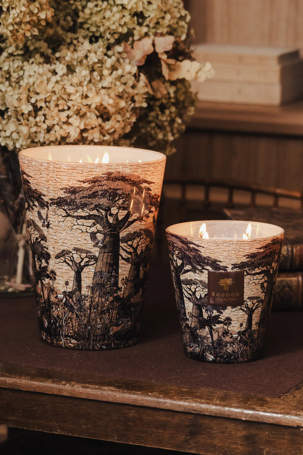 شمعة مانكونو من الأشجار المقدسة