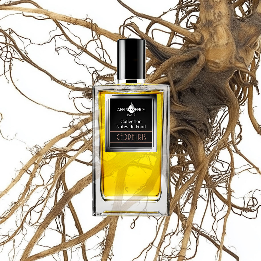 Cedre Iris Base Notes Collection EDP, 100ml