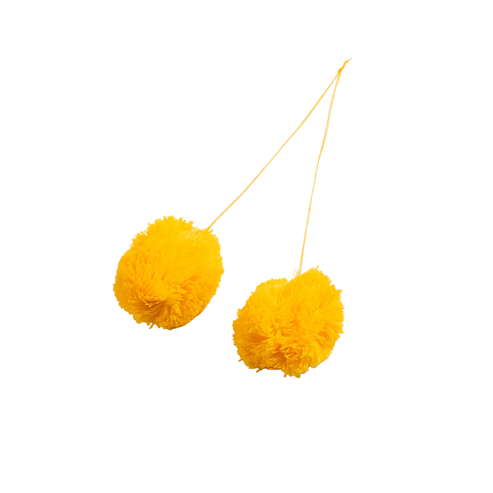 Pompom (test)