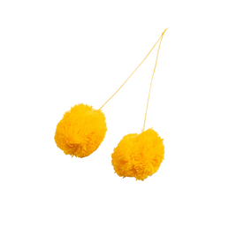 Pompom (test)