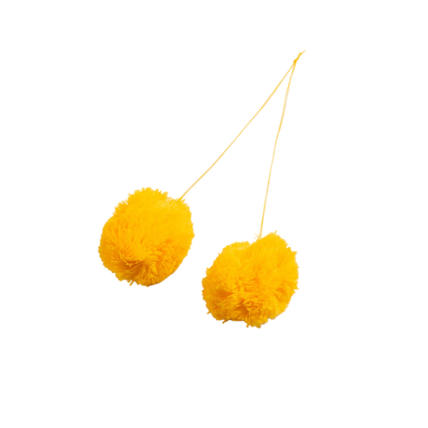 Pompom (test)