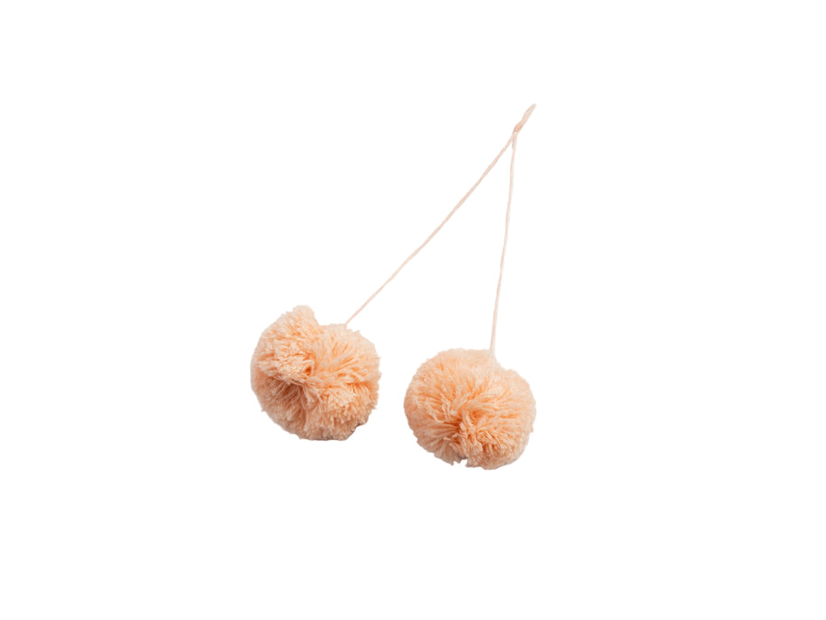 Pompom