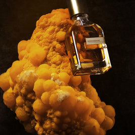 عطر بيرجاماسك إكستريت، 50 مل