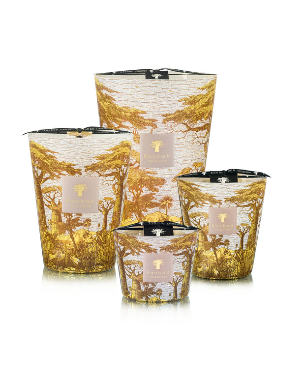 شمعة بوكاني من الأشجار المقدسة