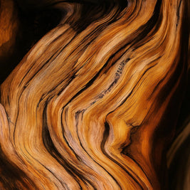 عطر 