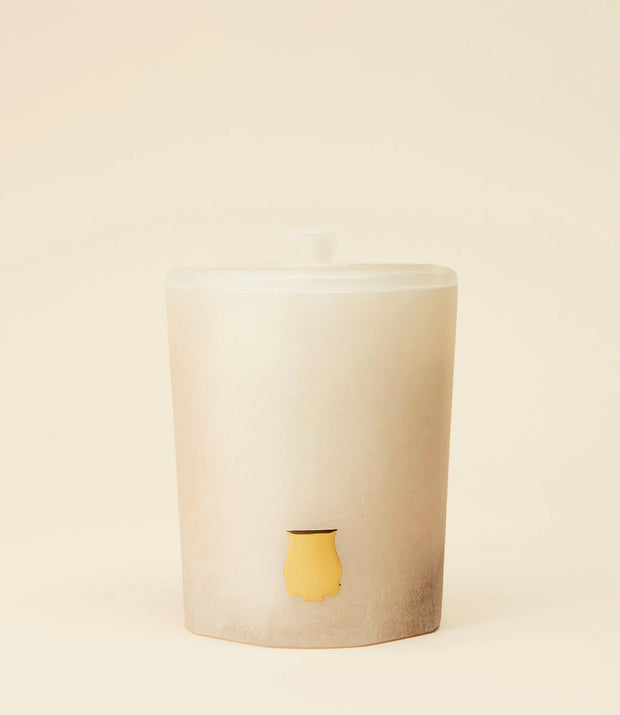 PREMIUM SCENTED CANDLE 270G ALB HEMERA