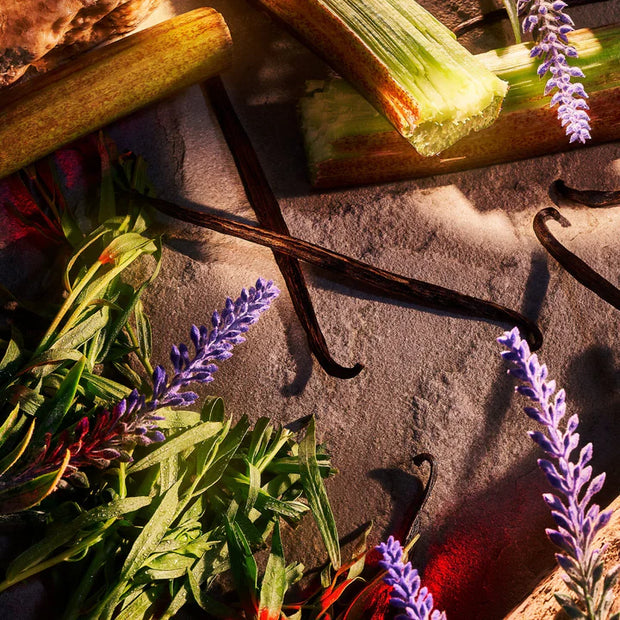 عطر دينجر بور أوم، 50 مل