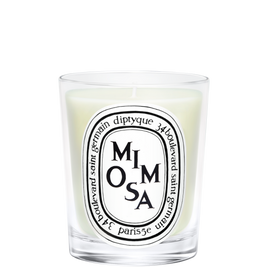 Mimosa Candle, 190g