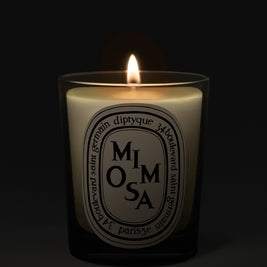 Mimosa Candle, 190g