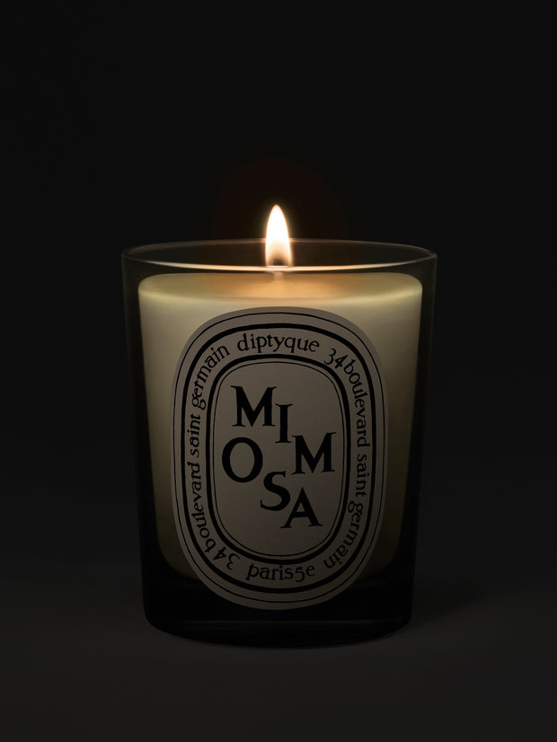 Mimosa Candle, 190g