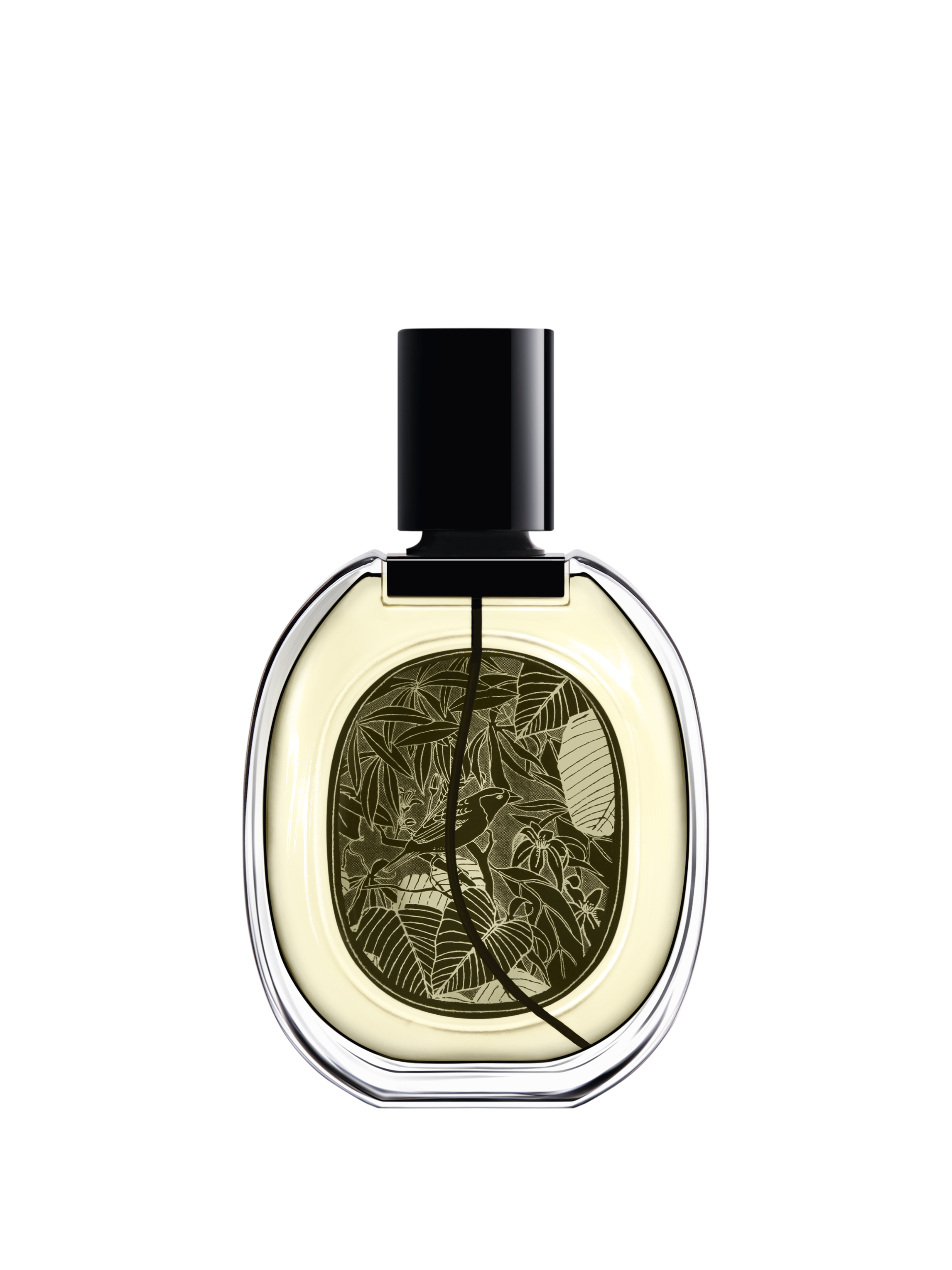 عطر فيتيفيريو أو دو بارفان 75 مل