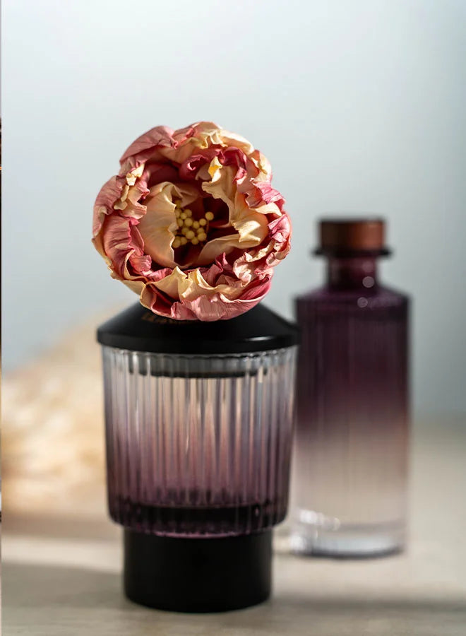 معطر جو ايفننق سينت، 150 مل