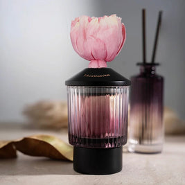 معطر جو مورننق ديو، 150 مل
