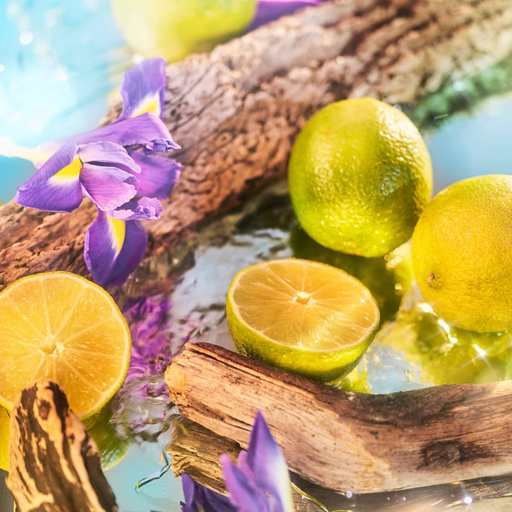 عطر أوقيانوسيا، 50 مل