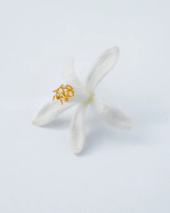Neroli Oranger, Eau De Parfum 50ml
