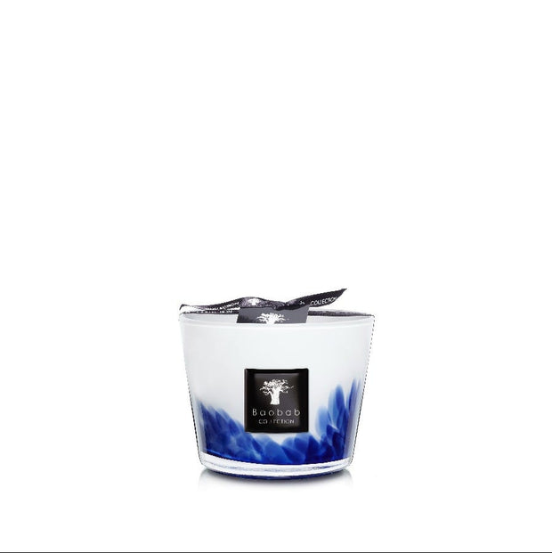 شمعة ريش الطوارق